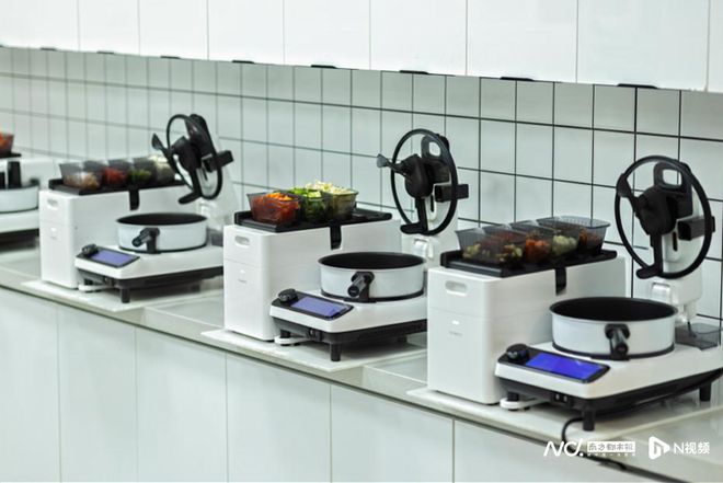 九遊app入口：高端產品、海外市場驅動利潤創新高科沃斯下一站：具身智能(圖7)