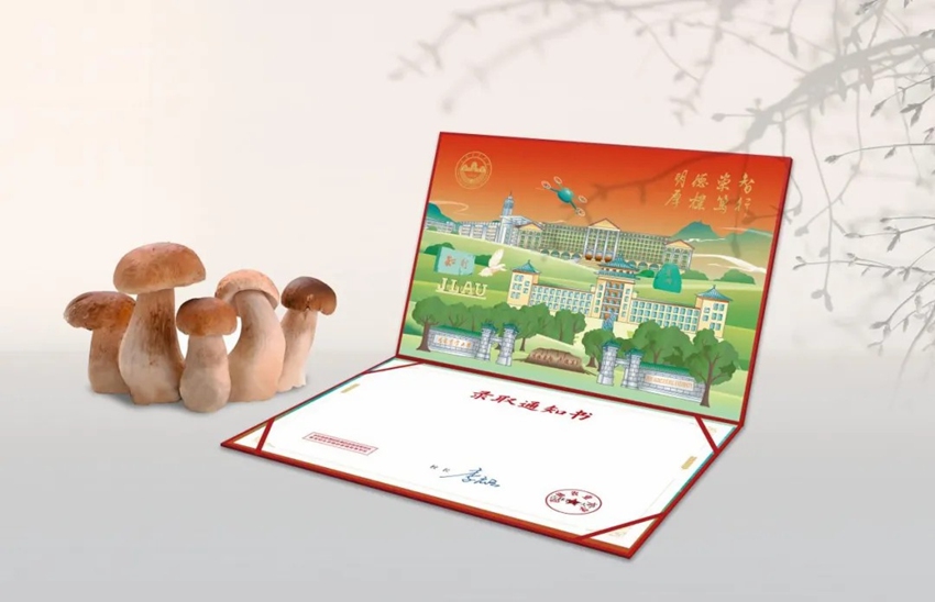 九遊app入口：行進中國｜小菌菇的“七十二變”(圖4)