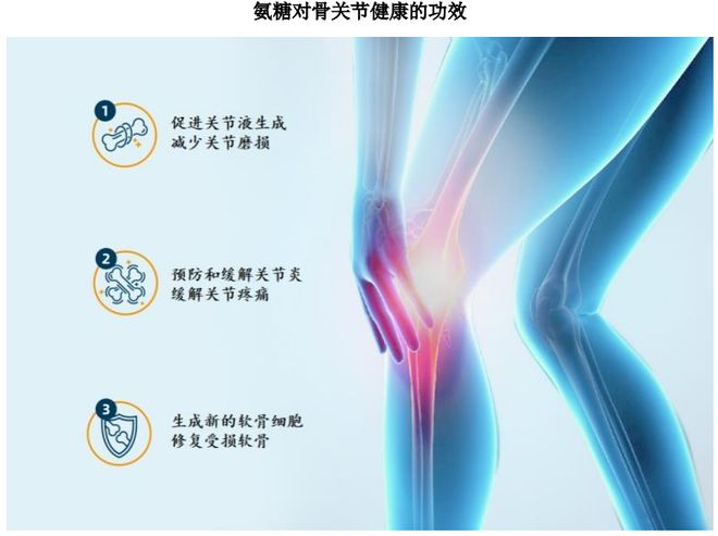 HMB全球龍頭技源集團：紮根運動健康賽道憑多元布局贏長遠未來(圖3)