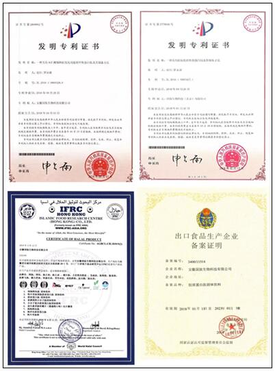 九遊app入口：從“建德小廠”到“行業小巨人” 大洋生物以科技創新實現精準突圍(圖1)