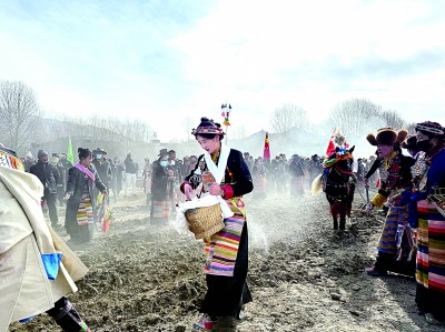 “溫飽糧”變身“致富糧”——西藏因地製宜發展高原特色產業(圖2)