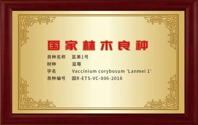 九遊娛樂：藍美股份千萬收購專利技術VitaCyan引領功能添加領域新突破(圖2)