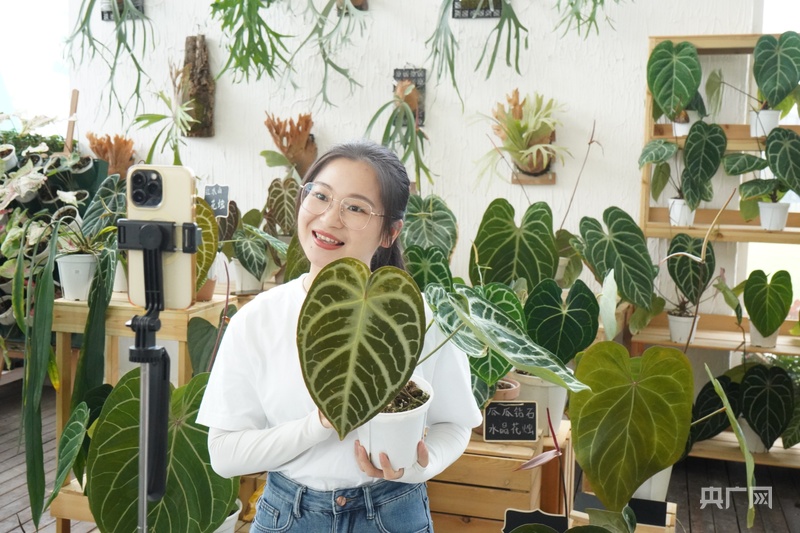 高質量發展看中國｜“縮差共富”提速 “千萬工程”譜寫鄉村振興萬千氣象(圖4)