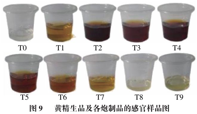 《食品科學》：華南理工大學王娟副研究員等：九蒸九製對黃精多糖和刺激性成分含量的影響及評價指標構建(圖8)