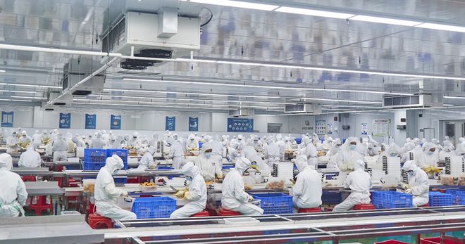 九遊娛樂：領航食品：科技賦能打造鄉村振興“新引擎”丨“中國夢·勞動美”係列報道⑥(圖6)